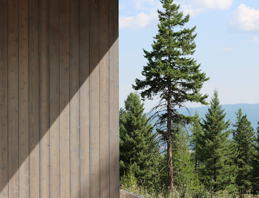 The exterior of a home featuring charred wood siding against a lush forest showcases the texture of Shou Sugi Ban wood.